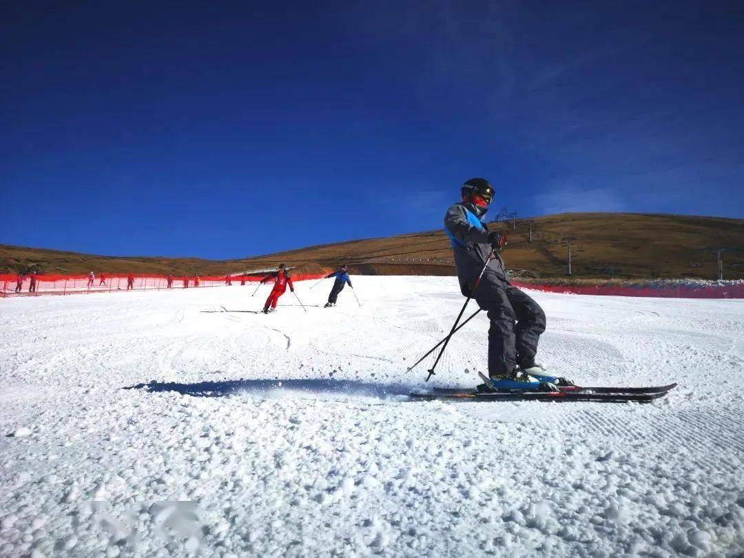 会泽大海草山滑雪场拟举办滑雪国家职业资格社会体育指导员培训班