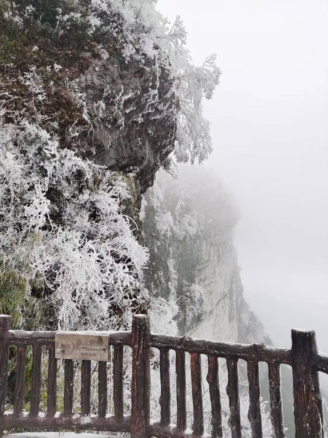 摩围山的雪太美啦