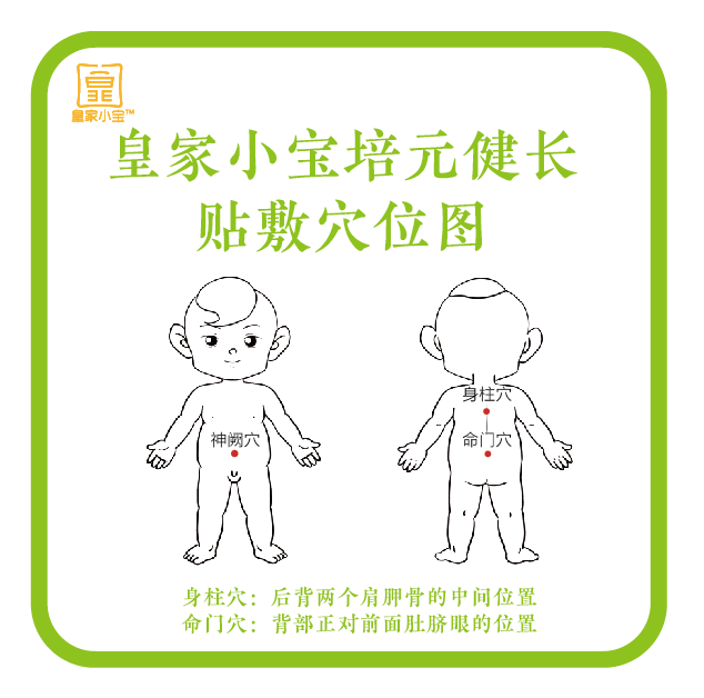 助力生长黄金季——皇家小宝培元健长组合