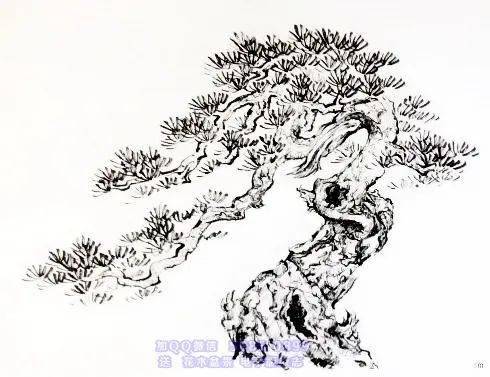 (收藏)值得看100遍的松柏设计图
