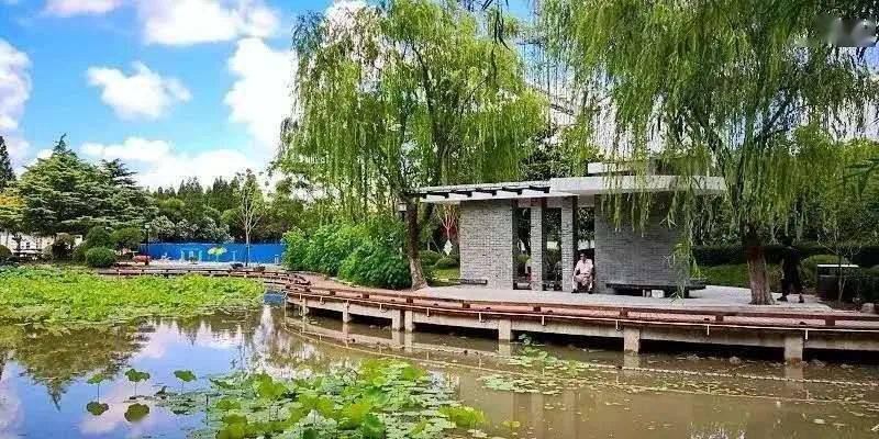 新虹地图丨新虹两座公园上星等你来打卡