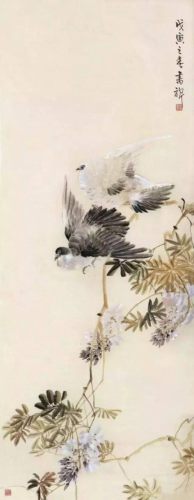 白鸽飞进水仙丛图片