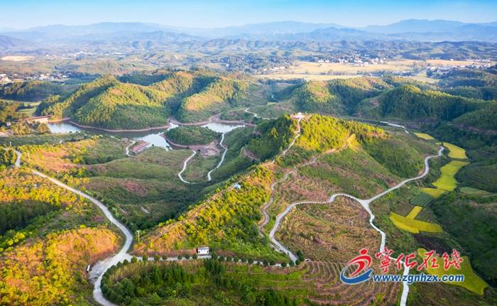 梁山县张坊村图片