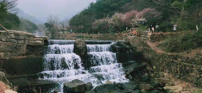 房景區4a 九龍湖旅遊區4a 招寶山風景區鎮 海 區4a 綠野達人谷景區4a