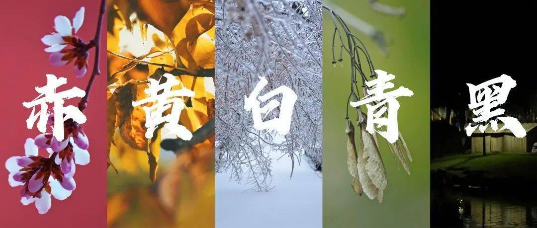 赤 黄 白 青 黑为中国色的正色在东师你也可以寻到它内敛雅致疏影斜照