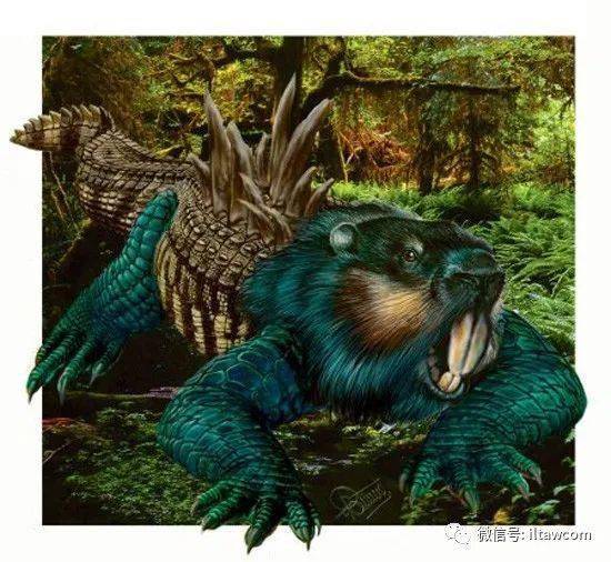 不可思议的神秘动物十一