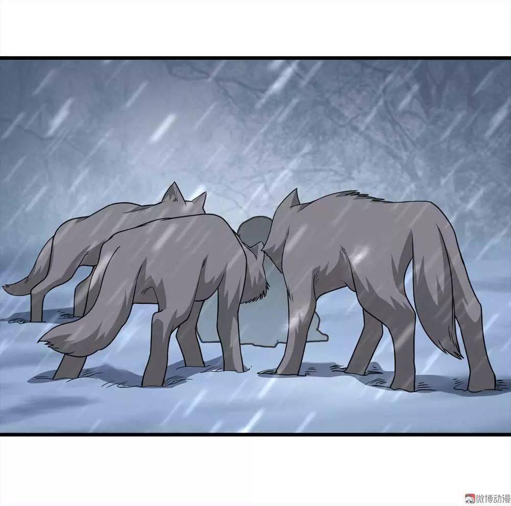 【悬疑猫】白狼托孤_动漫