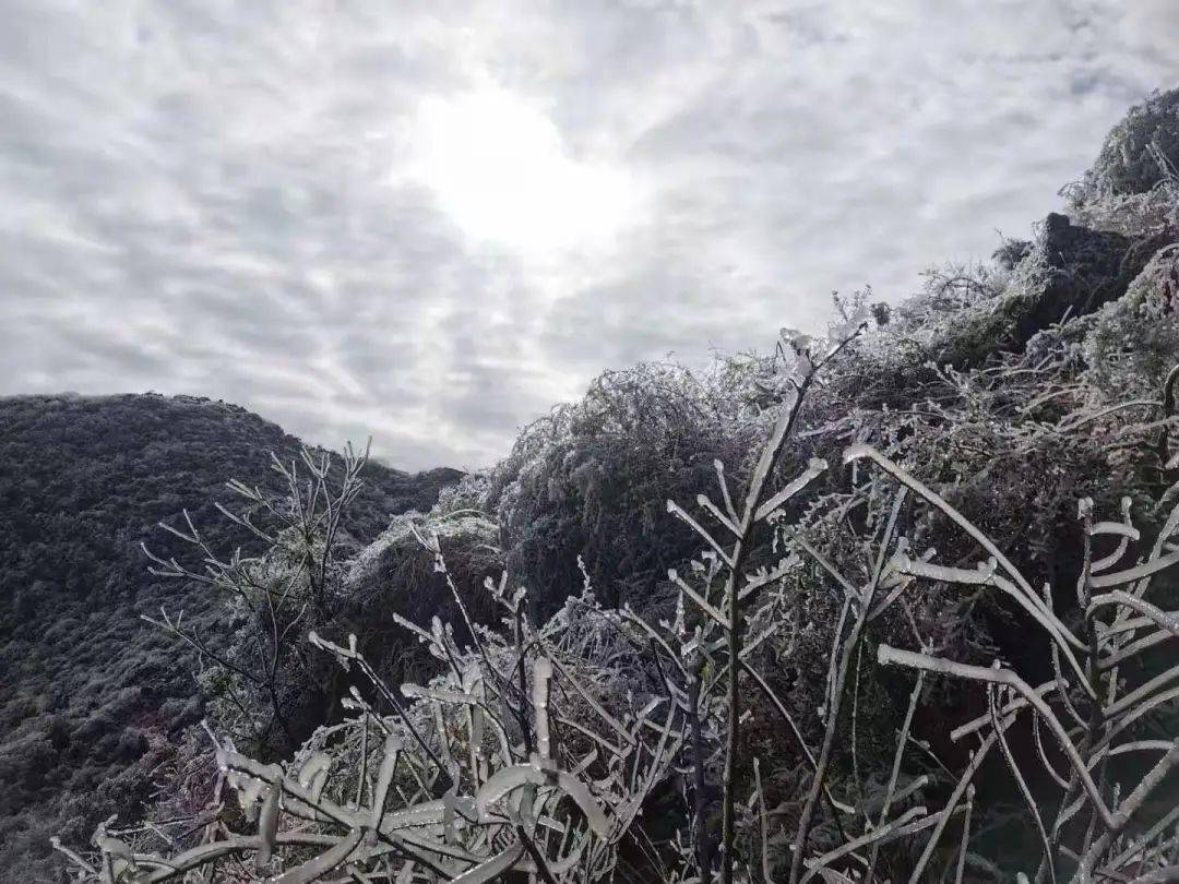 今天罗平白腊山震撼一幕你看到了没