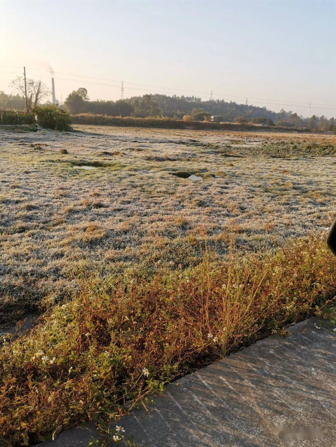 台山开平鹤山多地惊现霜冻冰挂视频图集你感受到寒冷了吗