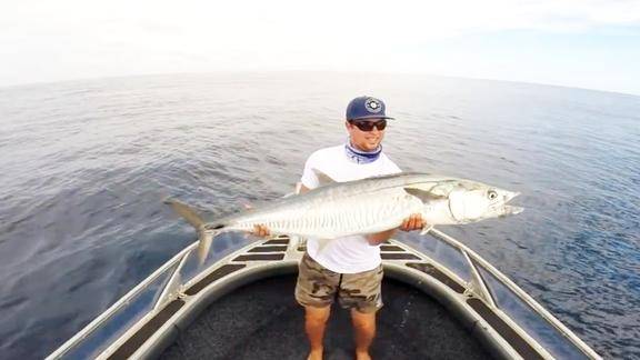 船抛路亚,波爬饵钓牛港鲹马鲛鱼!