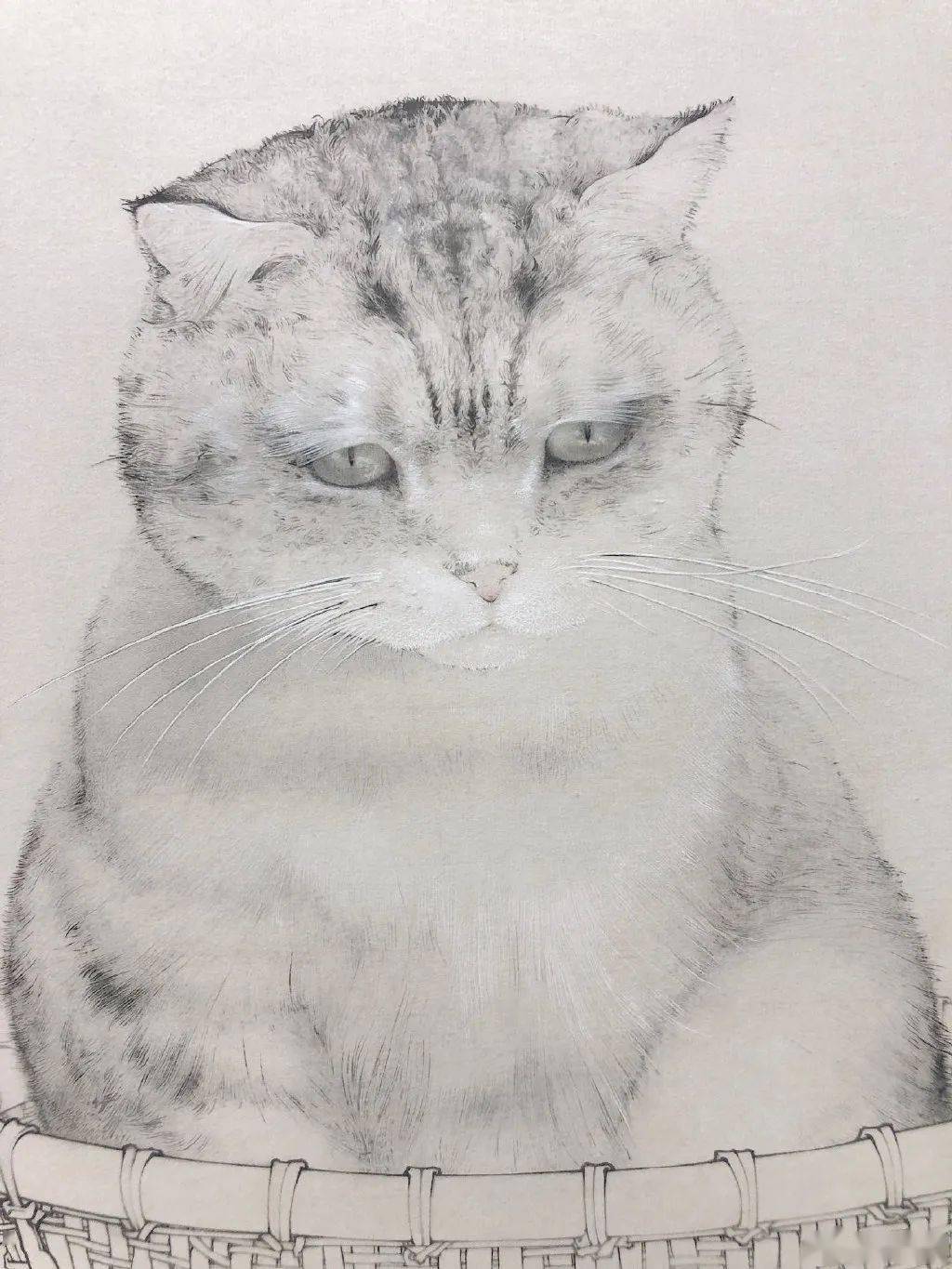 罗寒蕾的工笔画作品一直以来大多以浅淡的色彩进行着色甚至部分画面中