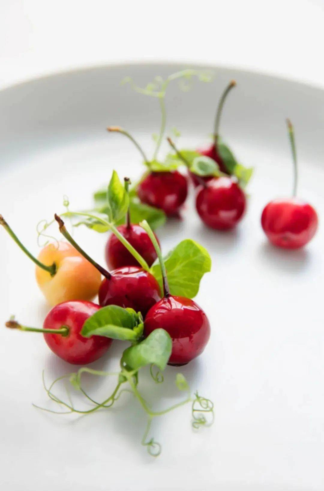 大董意境菜2020全年作品赏析