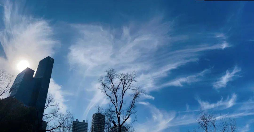 【图集】毛卷云,钩卷云.今天,申城上空美美的云你拍了吗?