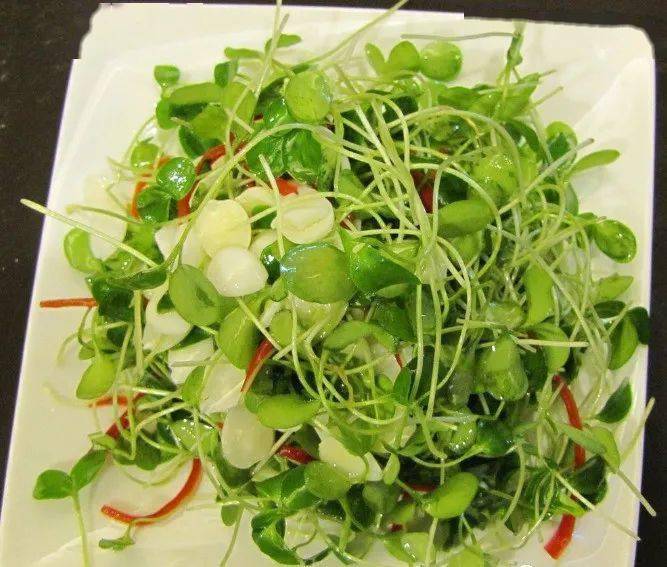 这几种芽苗菜的营养价值及功效