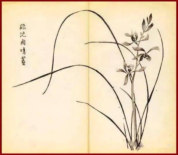这组兰花,风姿绰约,飘逸多姿!_芥子园