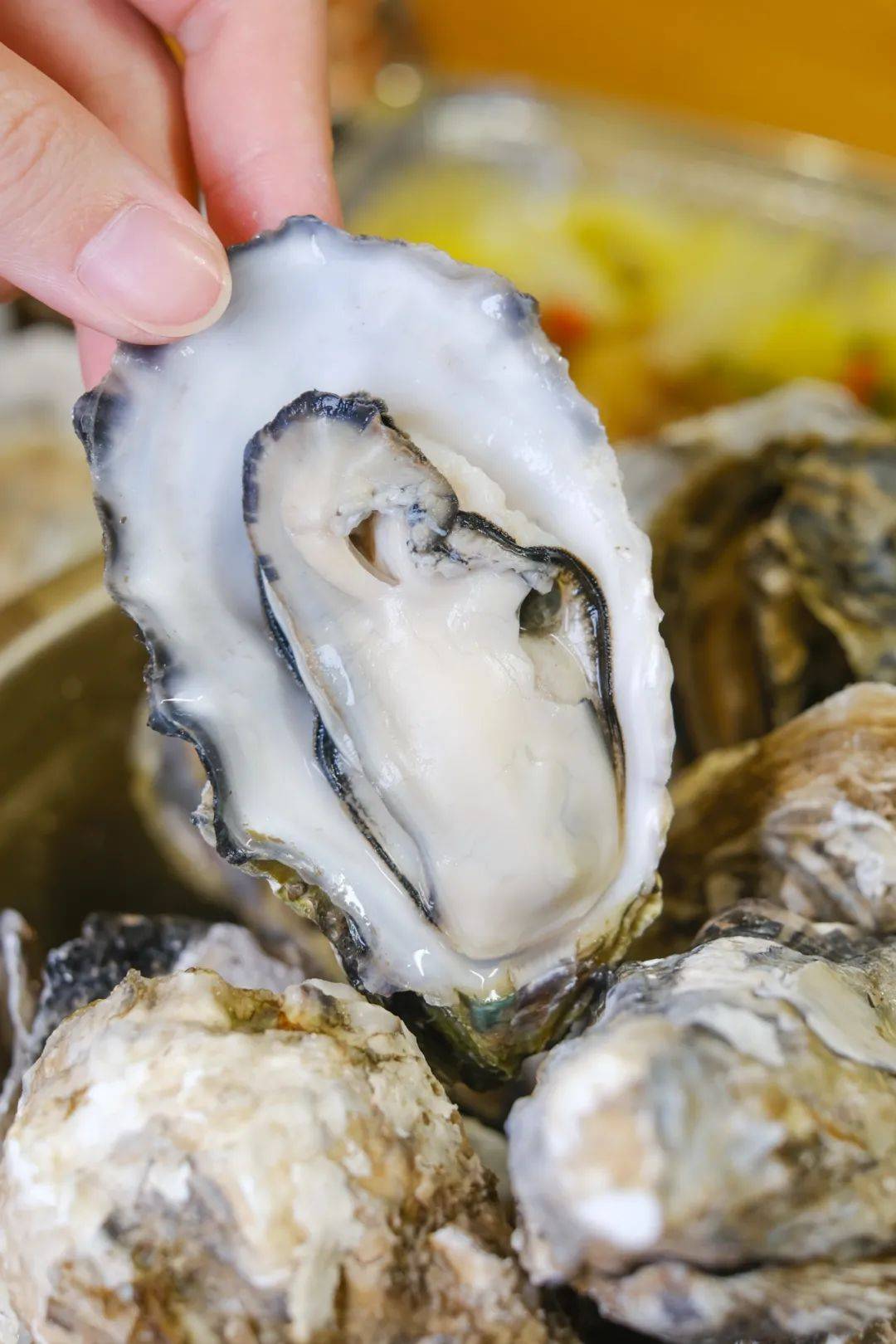 生蚝哪里批发便宜又好吃地址