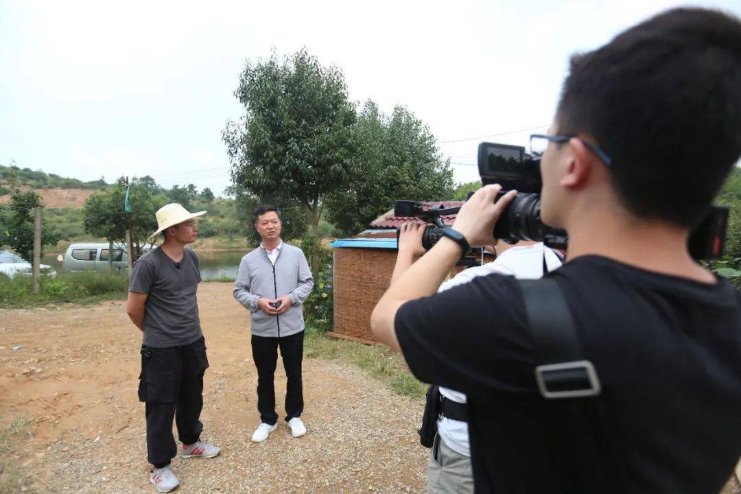 舒城和庐江2020GDP_舒城中学图片