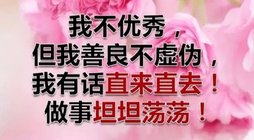 我不优秀,但我是个善良不虚伪的人