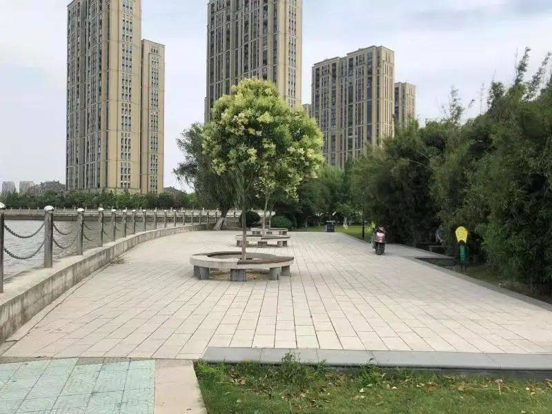 马圩人口_东乡区马圩镇人口(3)