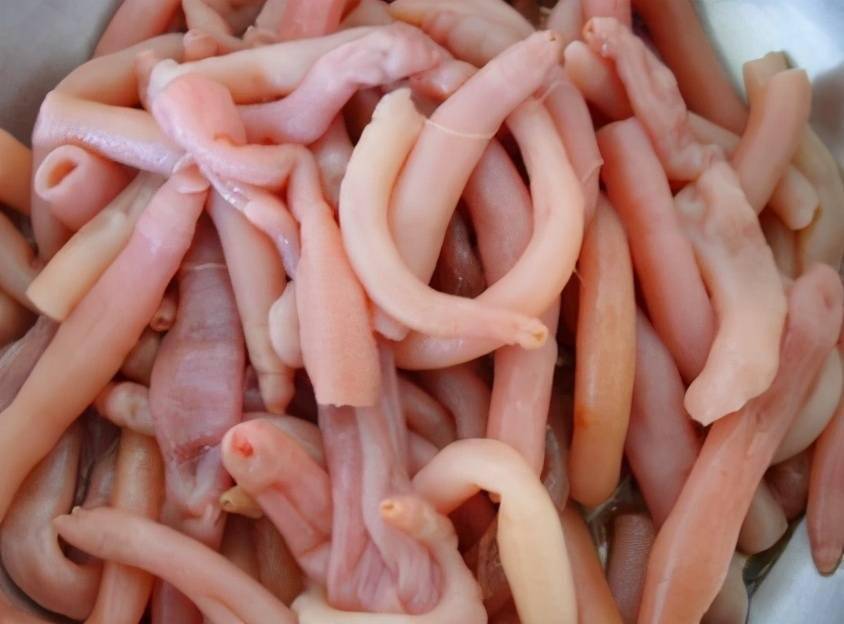 河北唐山单环刺螠的室内工厂化养殖技术