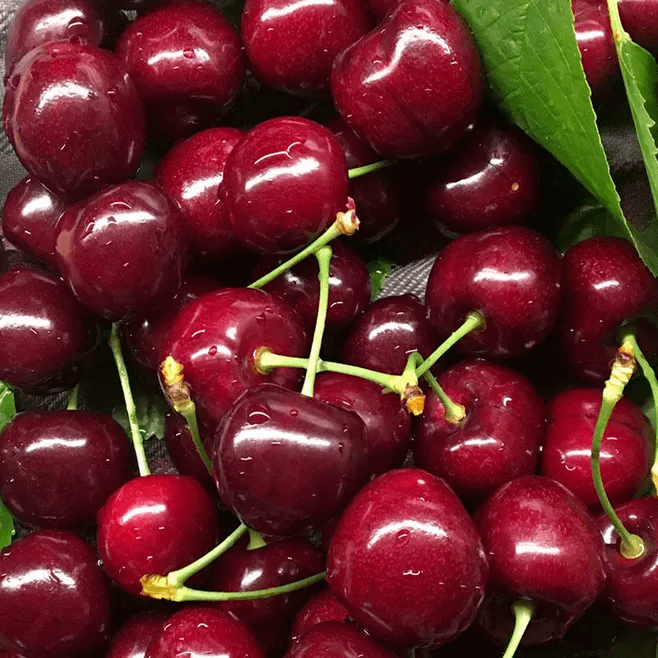 上海诚实果品批发行31店通用到店自提智利出口协会指定合作门店98元抢