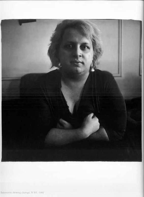 戴安阿勃丝dianearbus