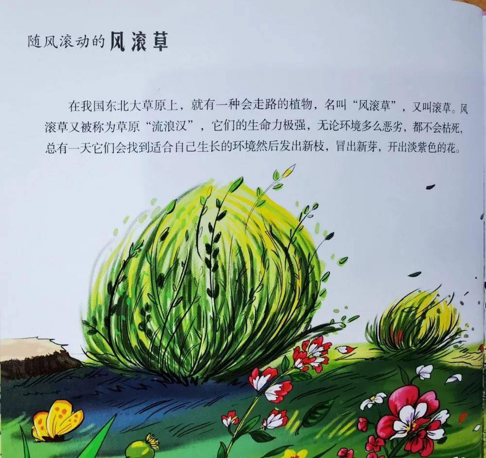 我还知道大王花,它会发出很臭很臭的味道,咦～伊然教师思考:绘本