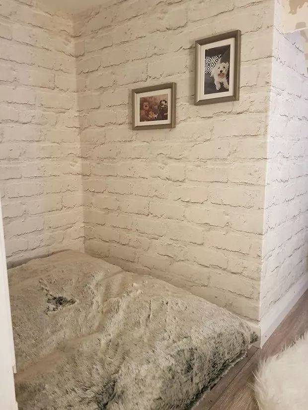 女主人懷孕了，為了不讓小狗覺得自己失寵，於是她做了一個決定..... 萌趣萌寵 第12张