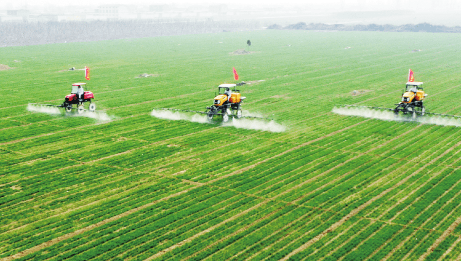 2021中国农业竞争新模式数字农业