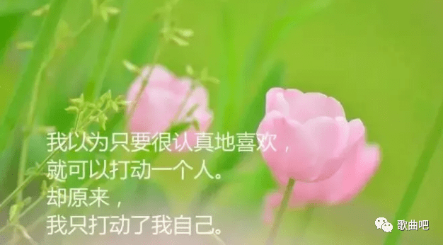 efcbc390ae1142828a85414ab163b6cc.png