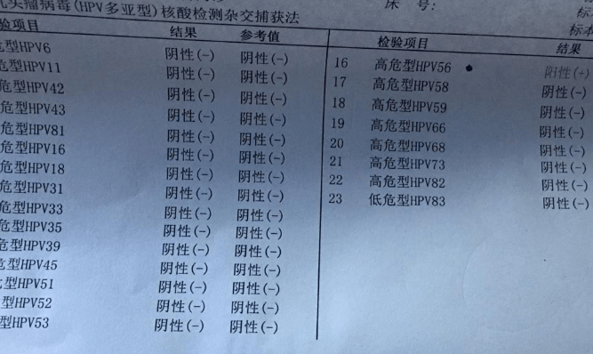 提醒婚前同居多留心4种男人或会将女性推入hpv深渊