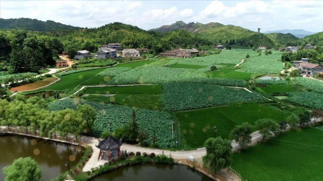 陶村乡人口_秦许乡扎那村人口