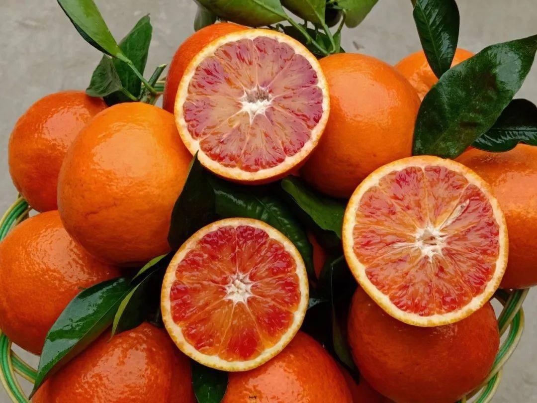 聚焦三农③|潼南血橙登上重庆日报,150亩成熟等你来摘