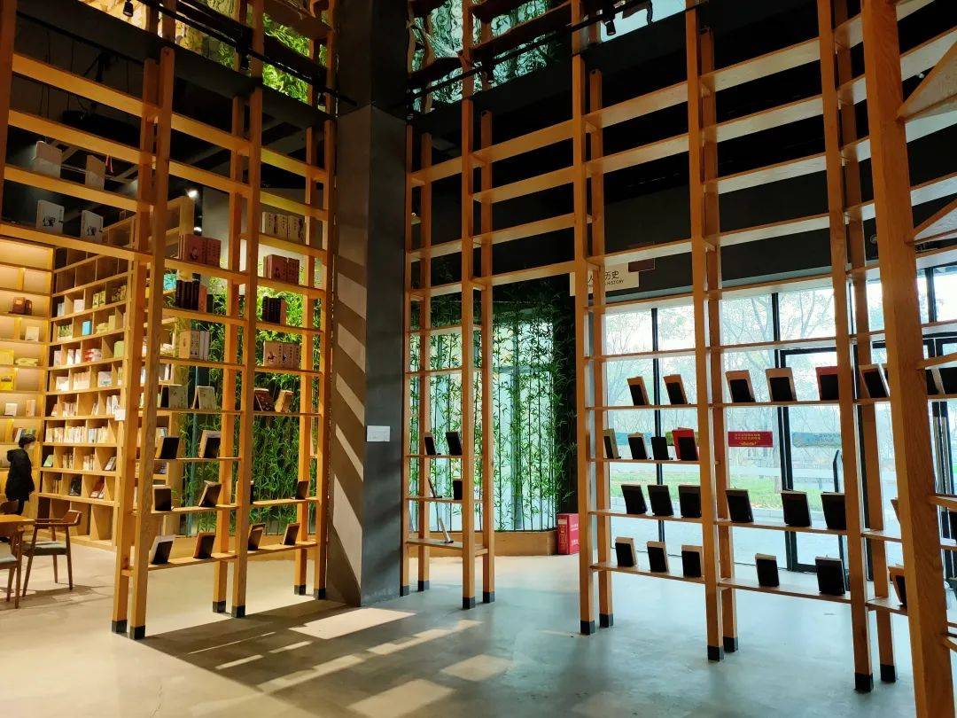 城市书屋:繁华喧嚣中的桃源_竹林