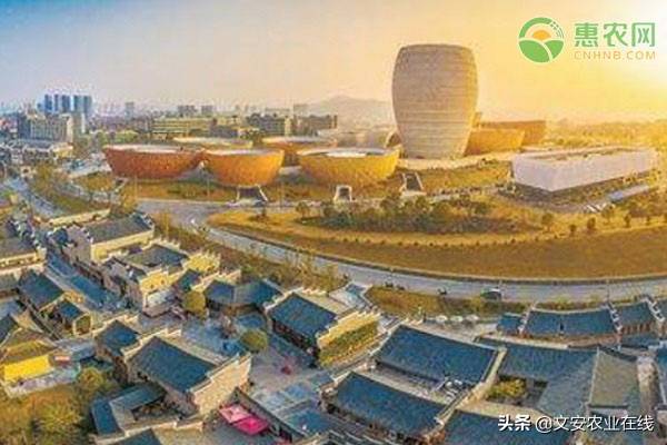 2020年中国各城市排_2020中国旅游城市10强排名:上海连续四年上榜,贵阳成黑马城市