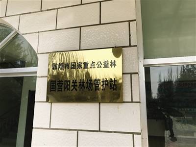 万亩沙漠防护林被毁 敦煌防沙最后屏障几近失守