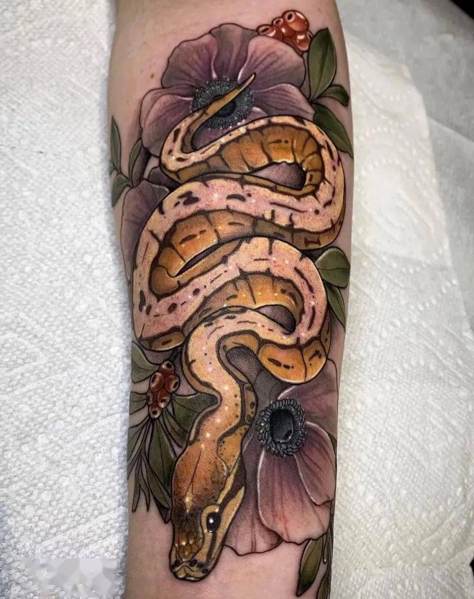 巨蛇缠绕的巨蟒纹身