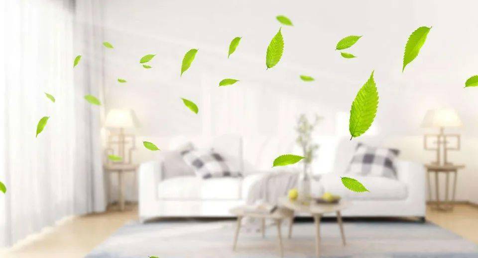 如何保持室内空气清新?请牢记这"三要三不要"