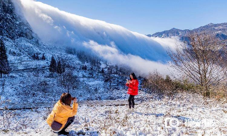 解锁重庆冬之韵，金佛山、仙女山等多个高山景区邀你免费游
