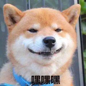 上线|微信上线十年了！最初的好友还有联系吗？