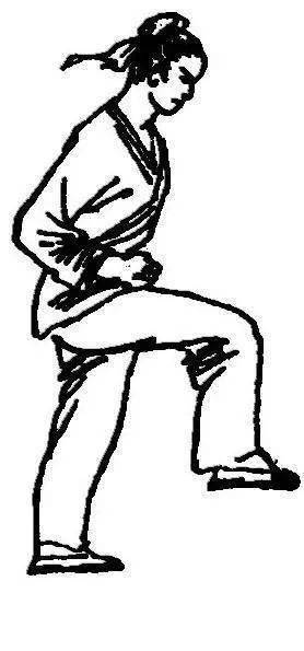 4,跺脚:身体自然站立,两手握拳护于胸前离膻中约1尺距离.