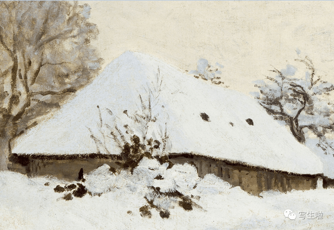 冬天的盛宴雪景作品集