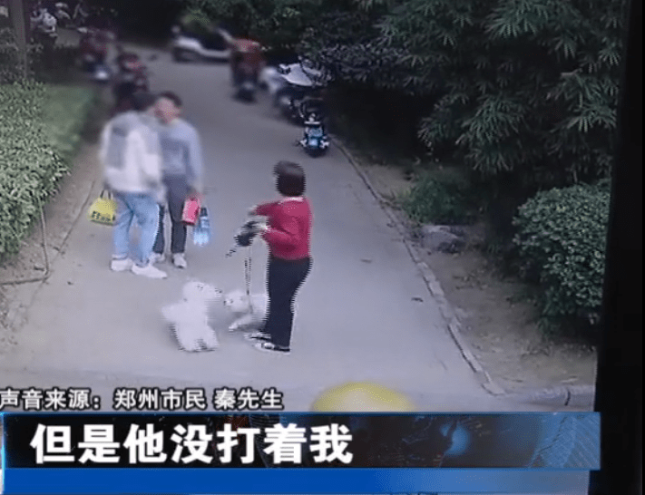 男子被要求向狗道歉！