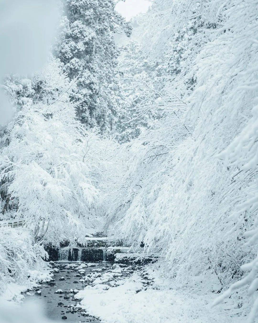 冰天雪地曲谱_冰天雪地图片(3)