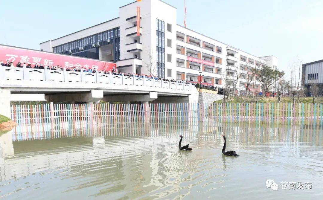 苍南最大学校投用!院士也来了
