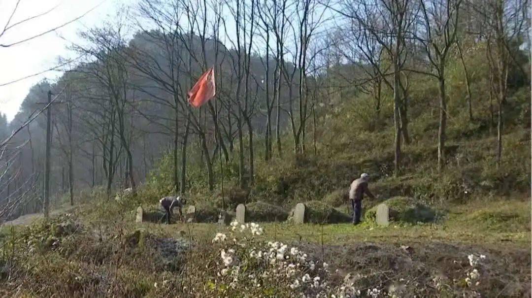 在遵義市紅花崗區巷口鎮八卦村一位年輕人正在為陵墓清理雜草他叫徐坤