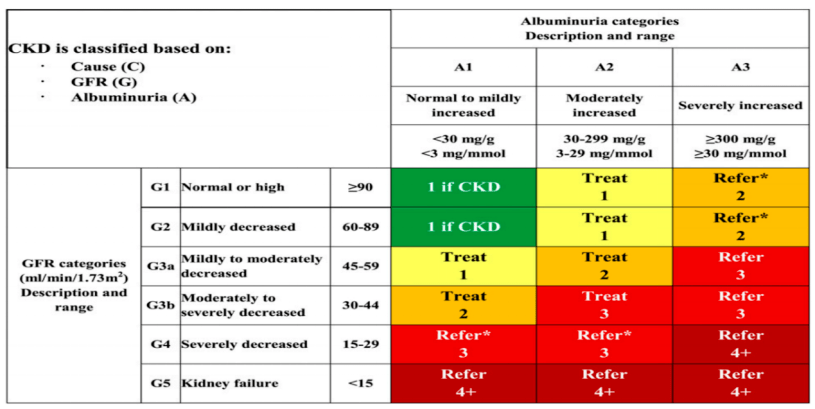 年度盘点糖尿病微血管并发症之糖尿病肾病的治疗与研究进展