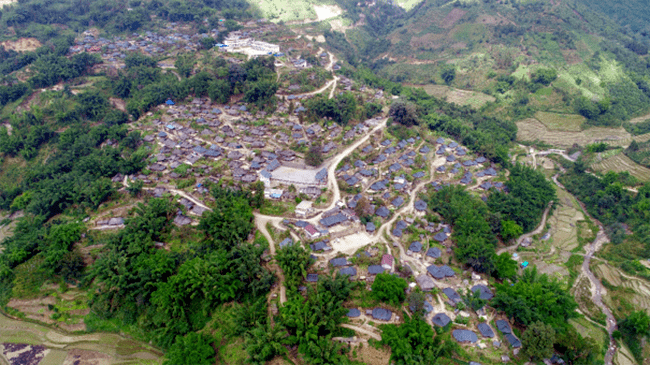 单甲乡党委书记特色项目抓出成效