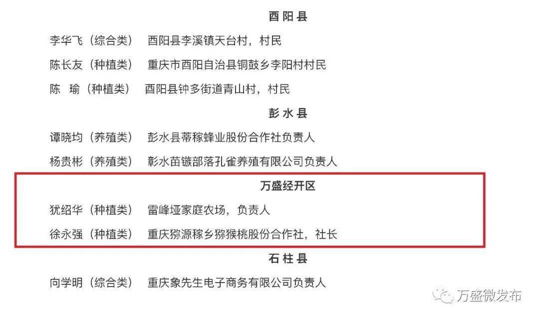 2020年重庆农村经济总量_重庆轻轨2020年规划图(3)