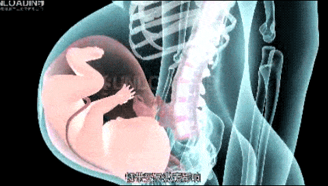 480_272gif 动态图 动图